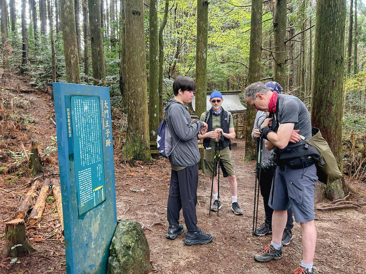 Cherry Blossoms and Ancient Trails: Kumano Kodo Bike & Hike Tour
