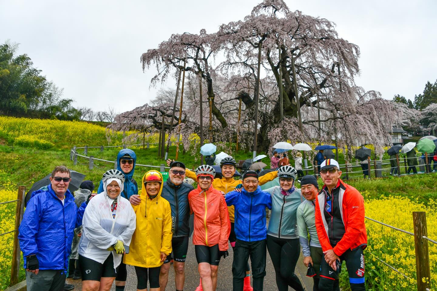 Sakura Season in Motion: Tohoku Bike Tour Off to a Brilliant Start