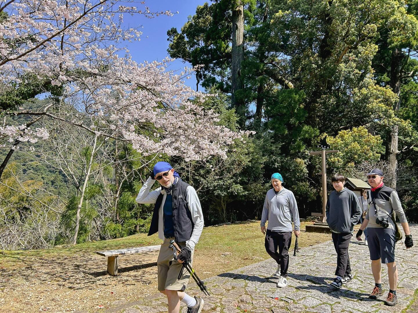 Cherry Blossoms and Ancient Trails: Kumano Kodo Bike & Hike Tour