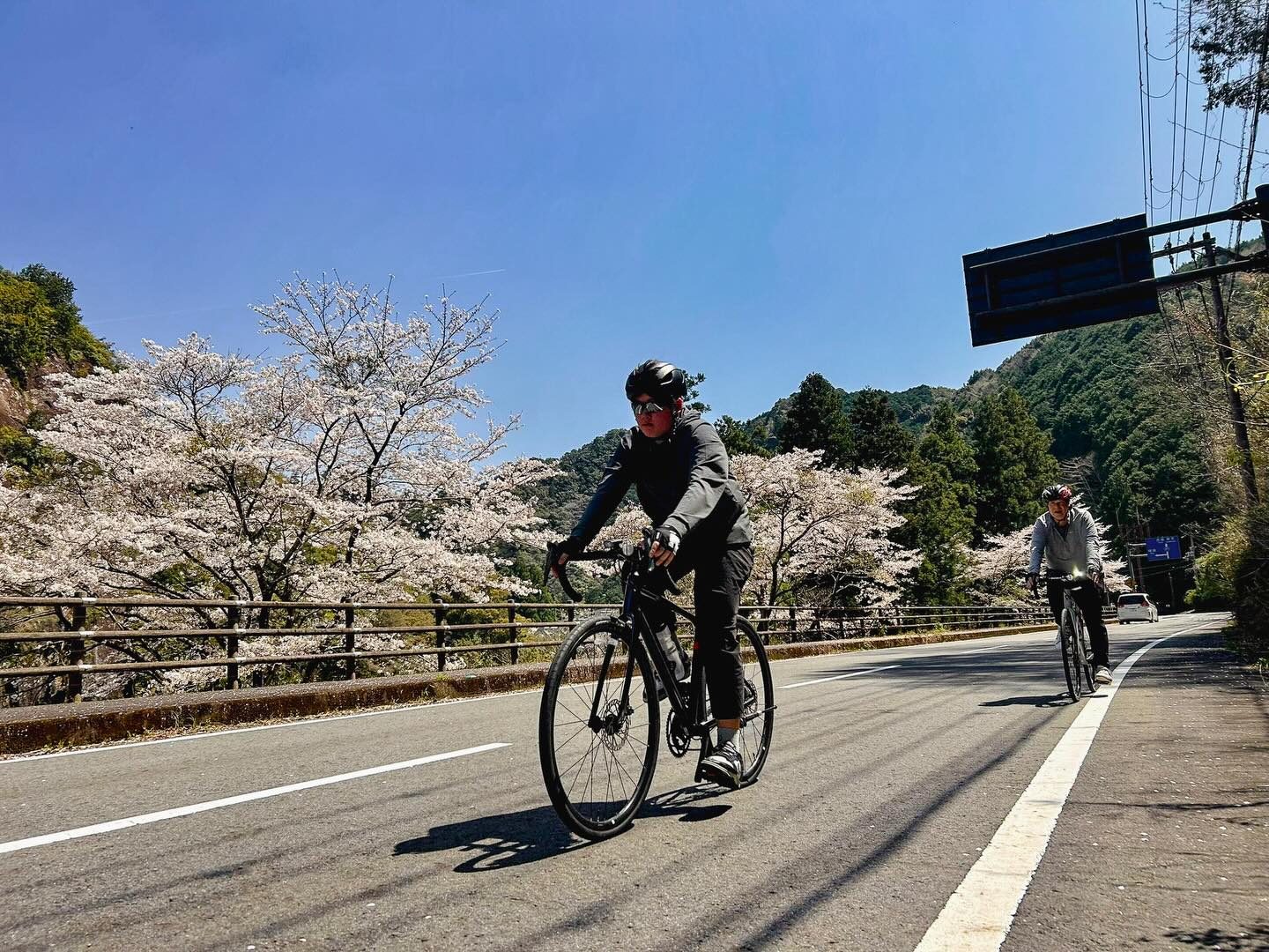 Cherry Blossoms and Ancient Trails: Kumano Kodo Bike & Hike Tour