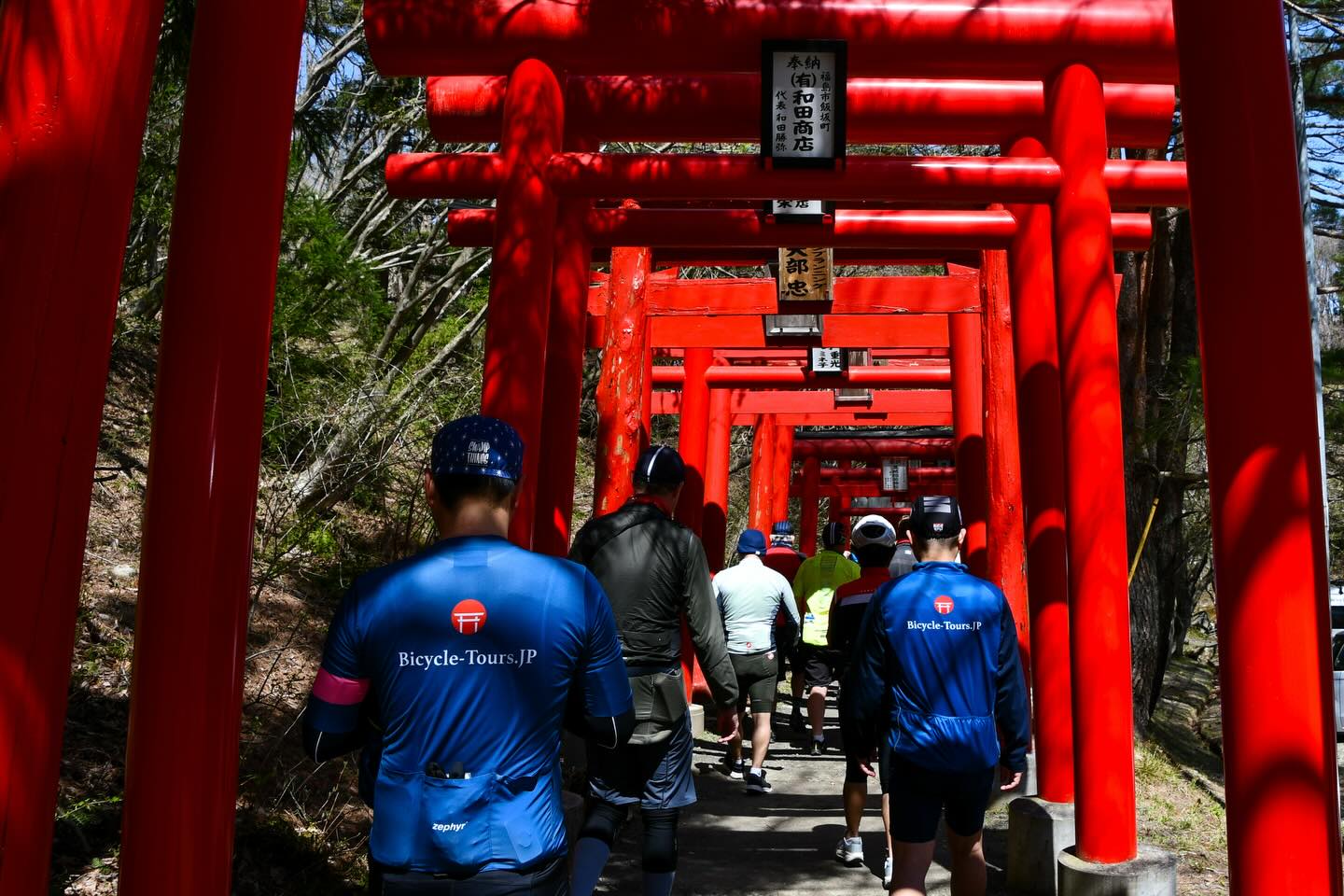 Falling Petals and Lasting Memories: Tohoku Sakura Tour 2026 Complete