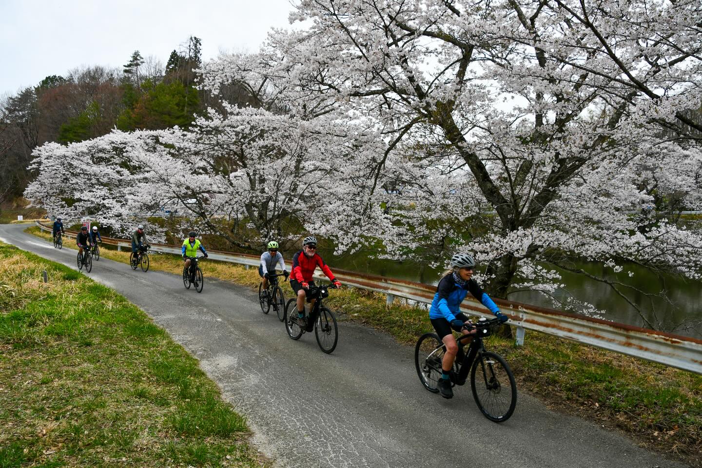 Sakura Season in Motion: Tohoku Bike Tour Off to a Brilliant Start