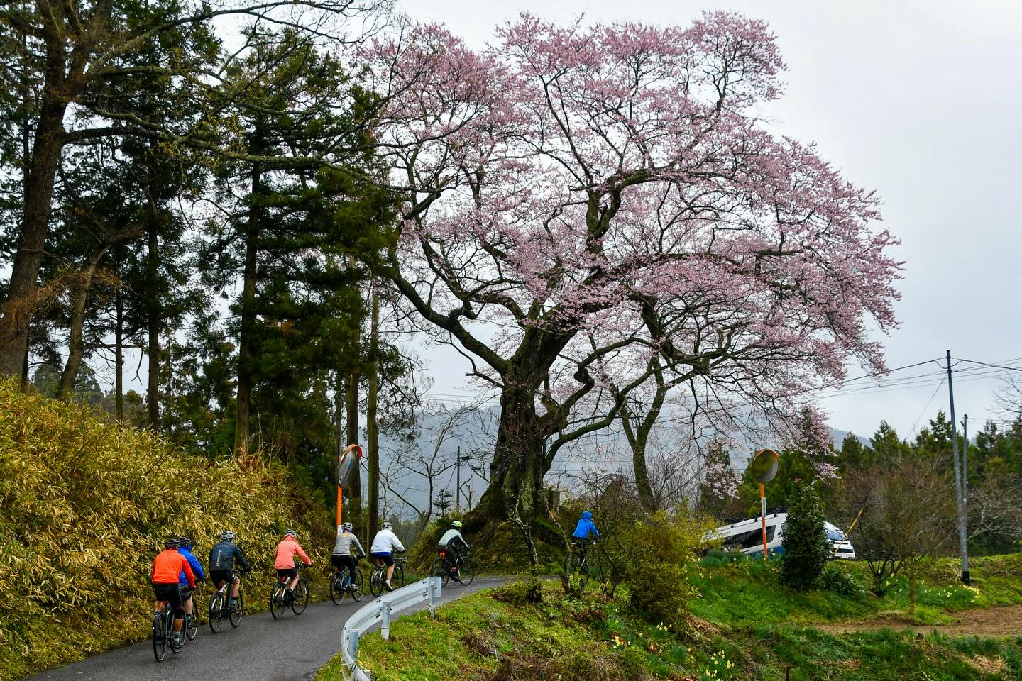 Sakura Season in Motion: Tohoku Bike Tour Off to a Brilliant Start