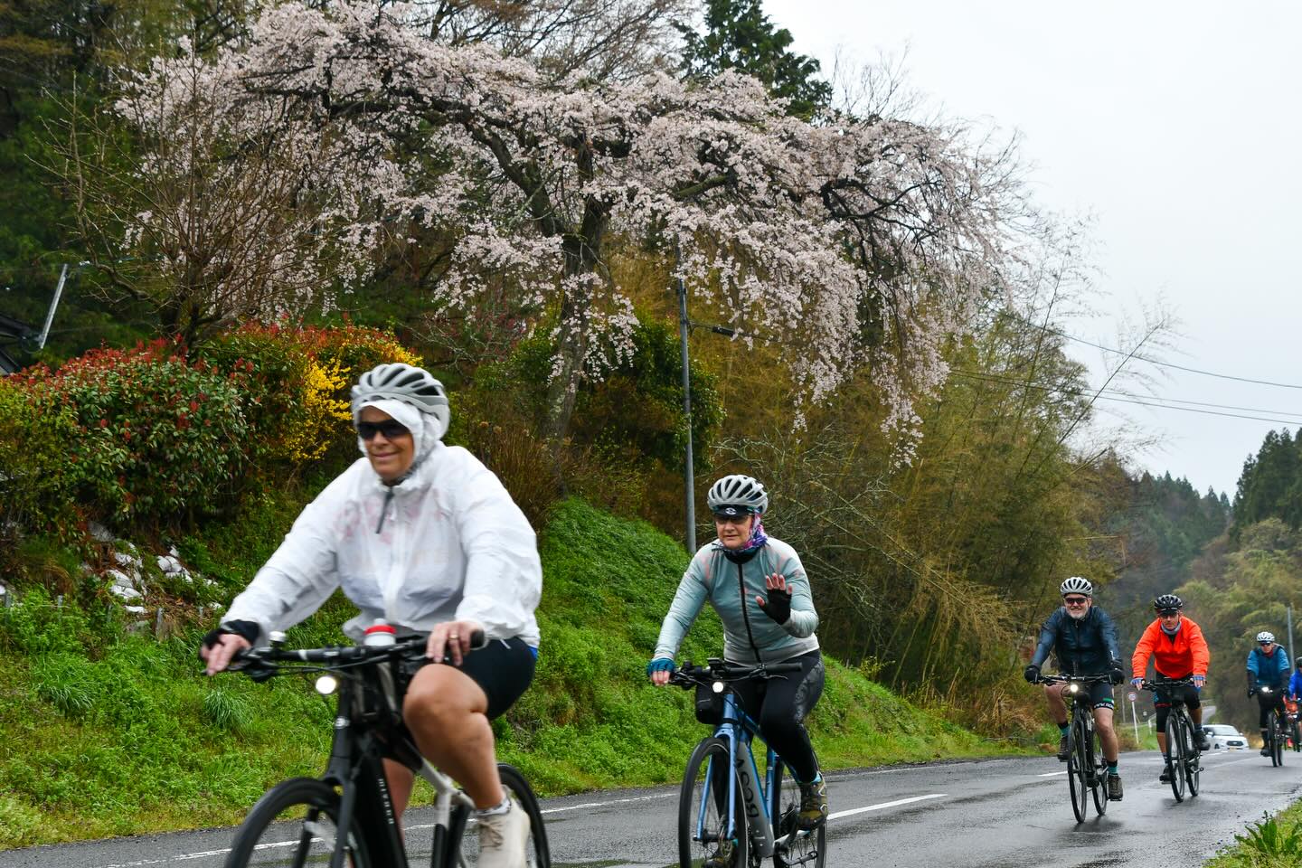 Sakura Season in Motion: Tohoku Bike Tour Off to a Brilliant Start