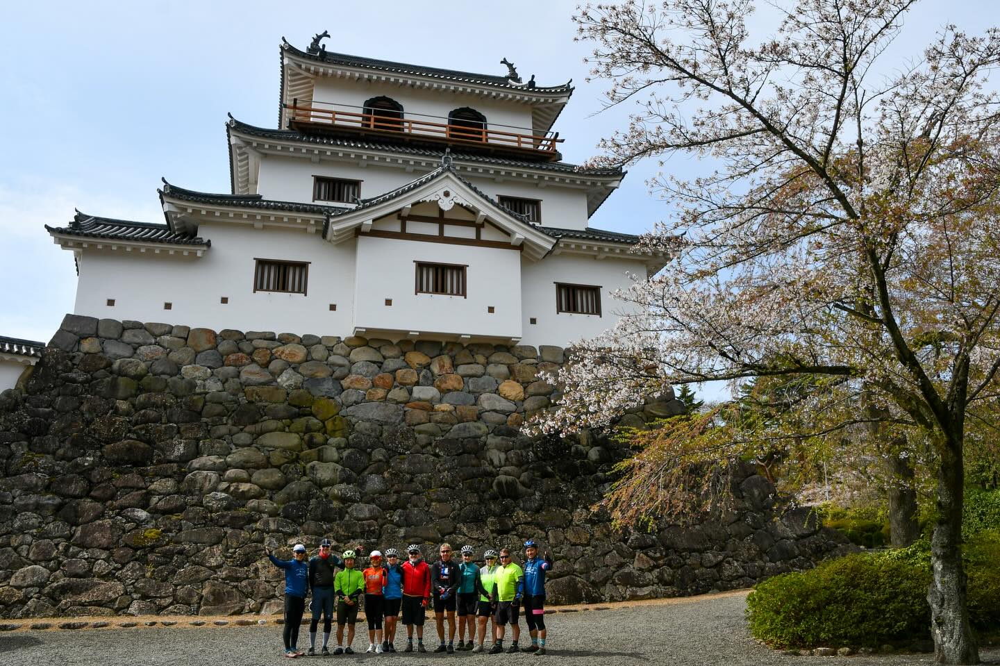 Falling Petals and Lasting Memories: Tohoku Sakura Tour 2026 Complete