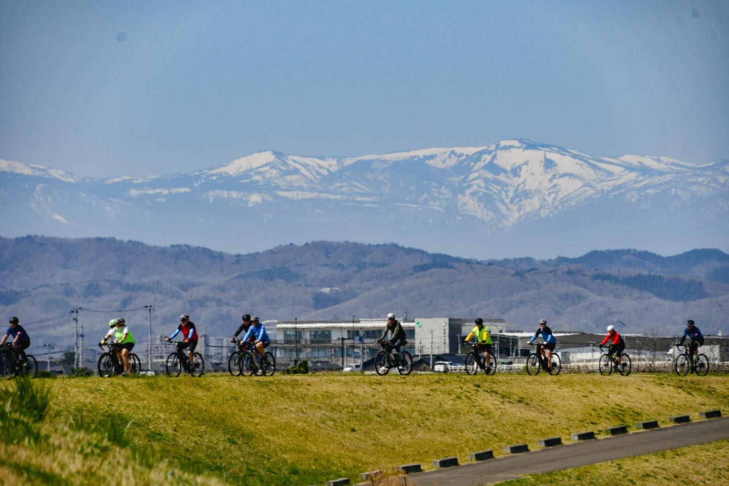 Falling Petals and Lasting Memories: Tohoku Sakura Tour 2026 Complete