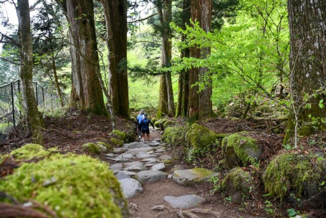 Ride, Feast, Onsen, Repeat — Through Nasu & Nikko