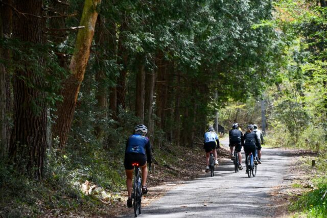 Ride, Feast, Onsen, Repeat — Through Nasu & Nikko