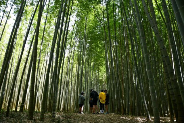 Ride, Feast, Onsen, Repeat — Through Nasu & Nikko