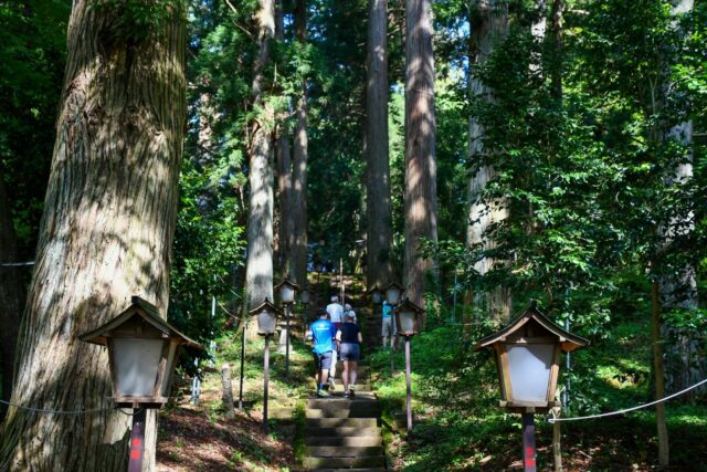 Pedaling Through Japan’s Emerald Spring — May Magic in the Nasu Highlands