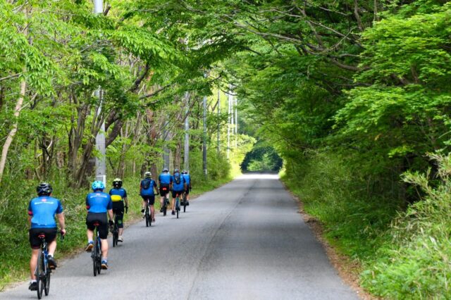 Pedaling Through Japan’s Emerald Spring — May Magic in the Nasu Highlands