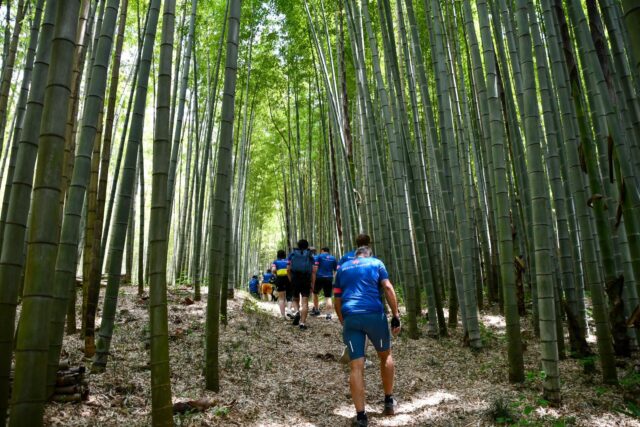 Pedaling Through Japan’s Emerald Spring — May Magic in the Nasu Highlands