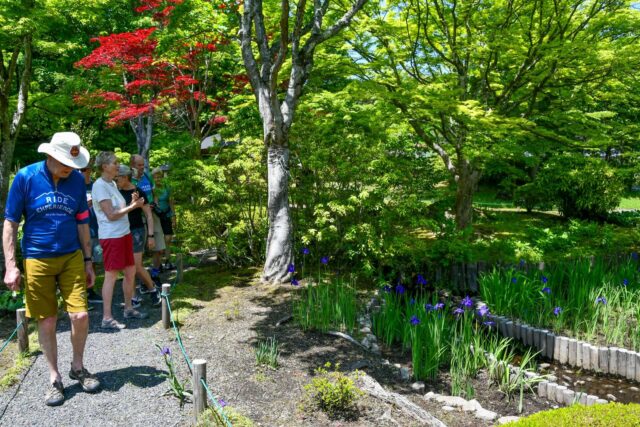 Pedaling Through Japan’s Emerald Spring — May Magic in the Nasu Highlands