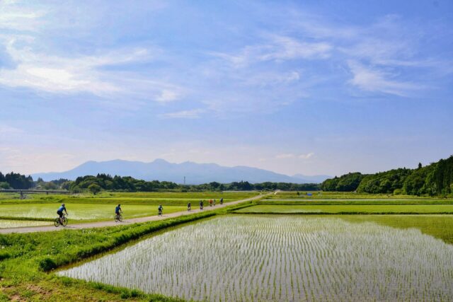 Pedaling Through Japan’s Emerald Spring — May Magic in the Nasu Highlands