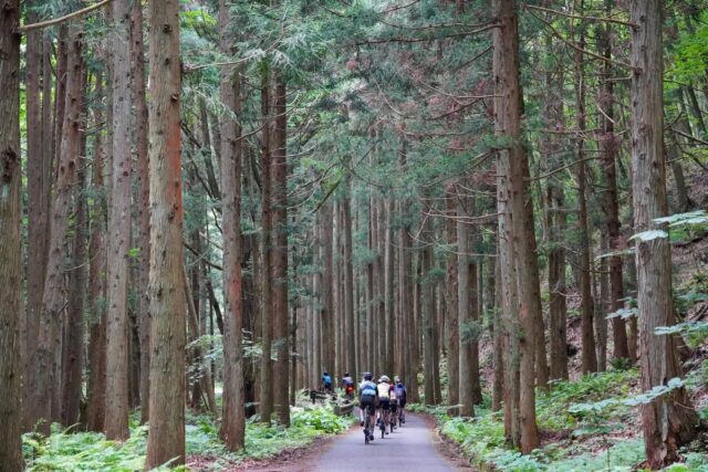 Chasing Summer in Japan’s Hidden North: Cycling Across Tohoku