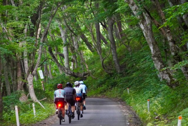 Chasing Summer in Japan’s Hidden North: Cycling Across Tohoku