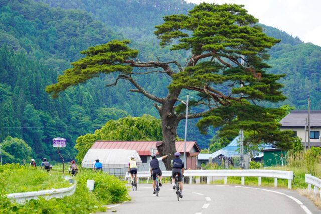 Chasing Summer in Japan’s Hidden North: Cycling Across Tohoku