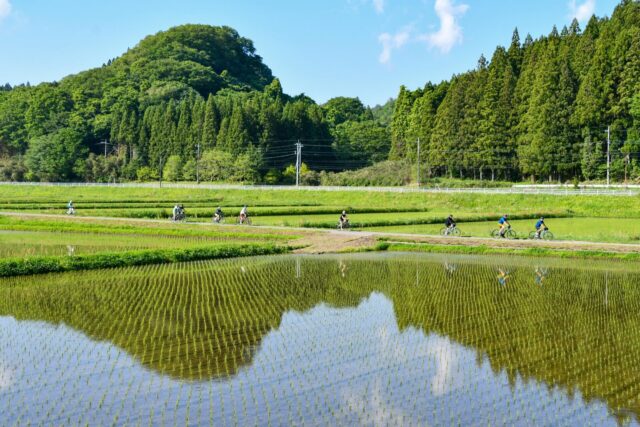 Pedaling Through Japan’s Emerald Spring — May Magic in the Nasu Highlands