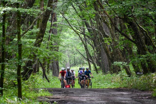 Where Gravel Meets Adventure: Okunikko with Panaracer’s New GRAVELKING Tires
