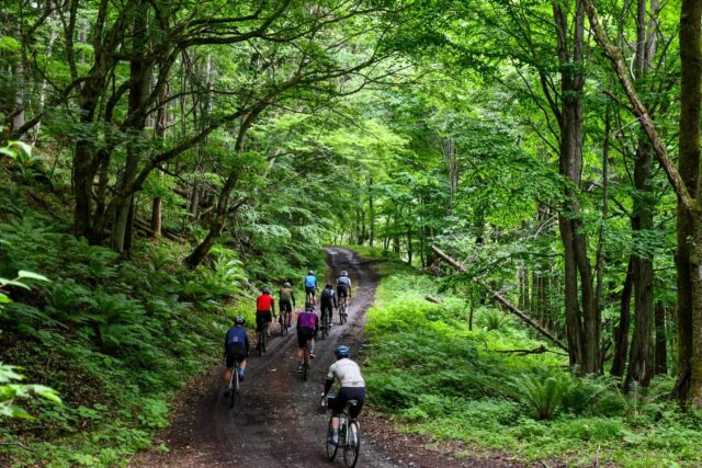 Where Gravel Meets Adventure: Okunikko with Panaracer’s New GRAVELKING Tires