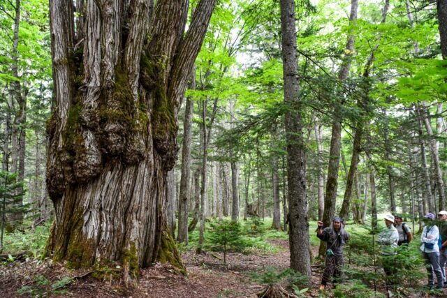 Deeper into the Heart of Hokkaido