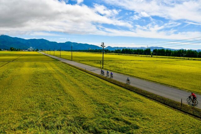 Where Golden Fields Meet Secret Roads: Cycling Tohoku in September