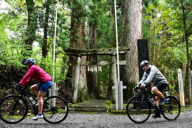 Where Golden Fields Meet Secret Roads: Cycling Tohoku in September