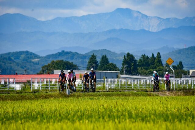 Where Golden Fields Meet Secret Roads: Cycling Tohoku in September
