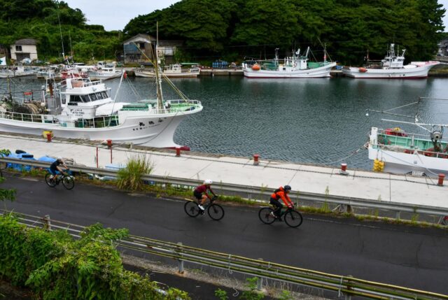 Where Golden Fields Meet Secret Roads: Cycling Tohoku in September