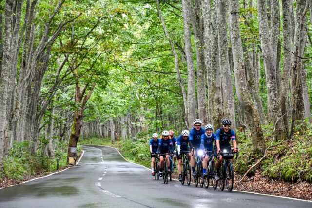 Where Golden Fields Meet Secret Roads: Cycling Tohoku in September
