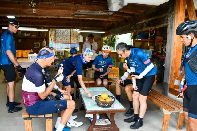 Where Golden Fields Meet Secret Roads: Cycling Tohoku in September