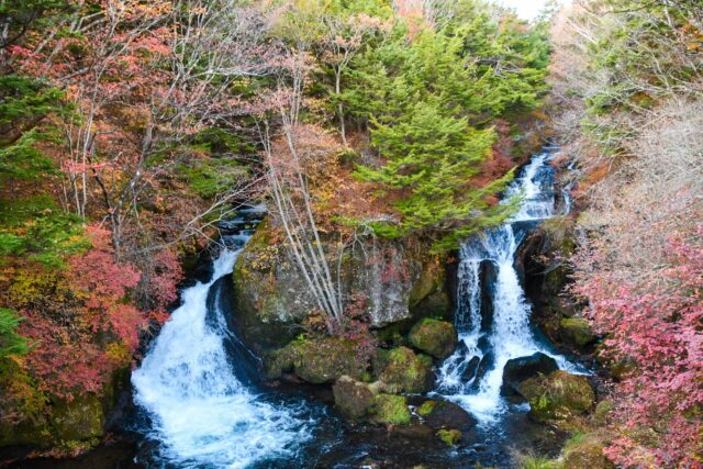 Autumn in Japan: Scenic Rides and Local Flavors by Electric Bike