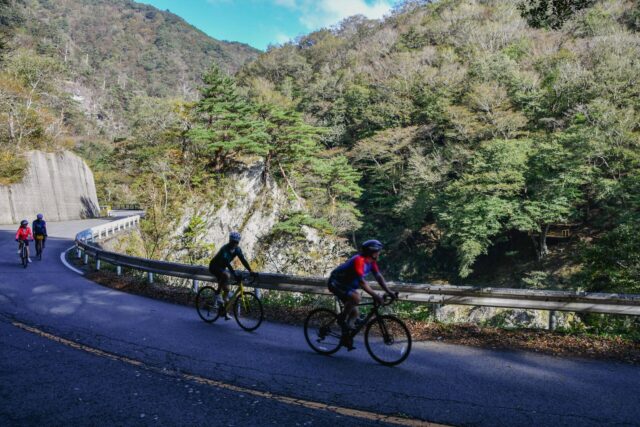 Autumn in Japan: Scenic Rides and Local Flavors by Electric Bike