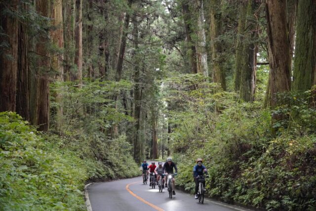Autumn in Japan: Scenic Rides and Local Flavors by Electric Bike