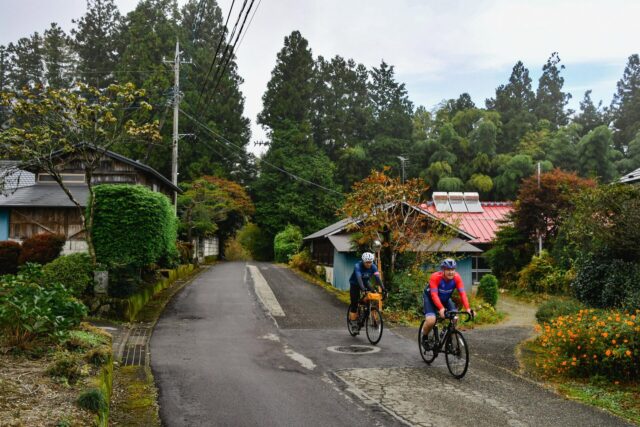 Autumn in Japan: Scenic Rides and Local Flavors by Electric Bike