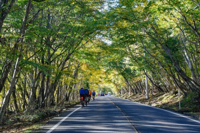 Autumn in Japan: Scenic Rides and Local Flavors by Electric Bike