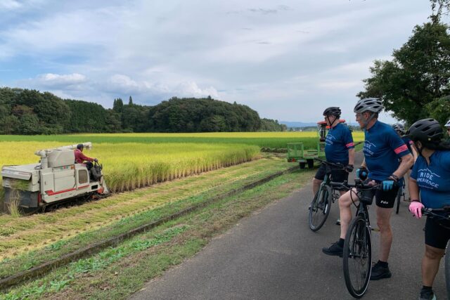 Autumn in Japan: Scenic Rides and Local Flavors by Electric Bike